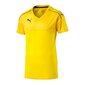Vīriešu sporta T-krekls Puma Accuracy M 702214-07, 47425 cena un informācija | Sporta apģērbs vīriešiem | 220.lv