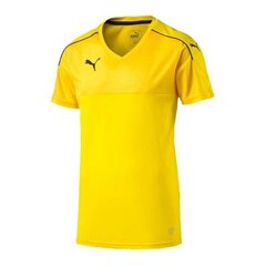 Спортивная футболка мужская Puma Accuracy M 702214-07, 47425 цена и информация | Мужская спортивная одежда | 220.lv