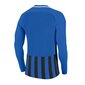 Vīriešu sporta krekls Nike Striped Division III M 894087 463 cena un informācija | Sporta apģērbs vīriešiem | 220.lv