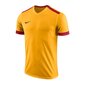 Zēnu sporta T-krekls Nike Dry Park Derby II Jr 894116-739, 47424 цена и информация | Zēnu krekli | 220.lv