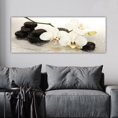 Reprodukcija Orhidejas цена и информация | Картины | 220.lv