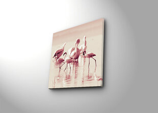 Reprodukcija Flamingo cena un informācija | Gleznas | 220.lv