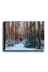 Reprodukcija Mežs ziemā cena un informācija | Gleznas | 220.lv