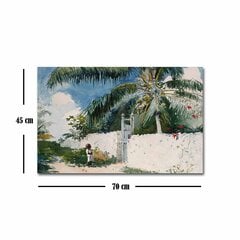 Репродукция A Garden in Nassau (Winslow Homer) цена и информация | Картины | 220.lv