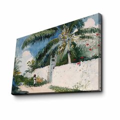 Репродукция A Garden in Nassau (Winslow Homer) цена и информация | Картины | 220.lv