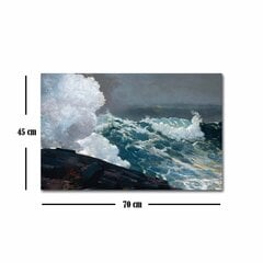 Reprodukcija Northeaster (Winslow Homer) cena un informācija | Gleznas | 220.lv