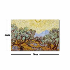 Репродукция Schilderijen (Vincent Van Gogh) цена и информация | Картины | 220.lv