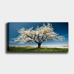 Reprodukcija Ziedošs koks cena un informācija | Gleznas | 220.lv