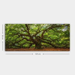 Reprodukcija Simtgades koks cena un informācija | Gleznas | 220.lv