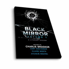 Репродукция Black Mirror цена и информация | Картины | 220.lv