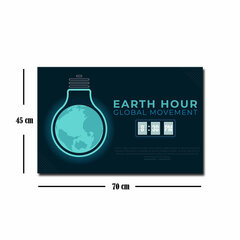 Reprodukcija Earth Hour cena un informācija | Gleznas | 220.lv