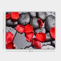 Reprodukcija Sarkanas ziedlapiņas uz akmeņiem cena un informācija | Gleznas | 220.lv