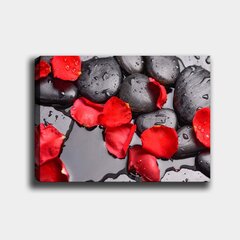 Reprodukcija Sarkanas ziedlapiņas uz akmeņiem cena un informācija | Gleznas | 220.lv