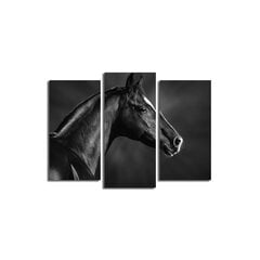 Triju daļu reprodukcija Melns zirgs cena un informācija | Gleznas | 220.lv