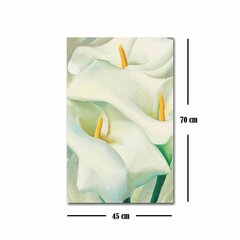 Reprodukcija Baltās lilijas cena un informācija | Gleznas | 220.lv