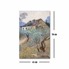 Reprodukcija White Farmhouse Between Olive Trees (Vincent Van Gogh) cena un informācija | Gleznas | 220.lv