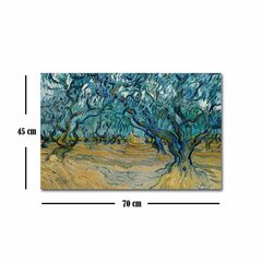 Reprodukcija Olive Trees (Vincent Van Gogh) cena un informācija | Gleznas | 220.lv