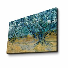 Reprodukcija Olive Trees (Vincent Van Gogh) cena un informācija | Gleznas | 220.lv