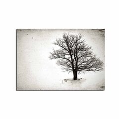 Репродукция на холсте Дерево цена и информация | Картины | 220.lv