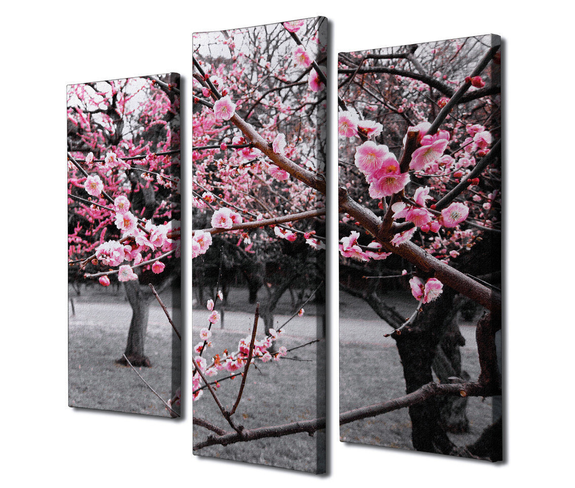 Triju daļu reprodukcija Sakura cena un informācija | Gleznas | 220.lv