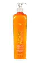 Angel Professional šampūns matiem ar blaugznām , 500 ml cena un informācija | Šampūni | 220.lv