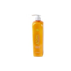 Angel Professional šampūns sausiem un normāliem matiem, 250 ml цена и информация | Шампуни | 220.lv