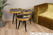 3-ju galdiņu komplekts Kalune Design Lyle, melns/zelta krāsas cena un informācija | Žurnālgaldiņi | 220.lv