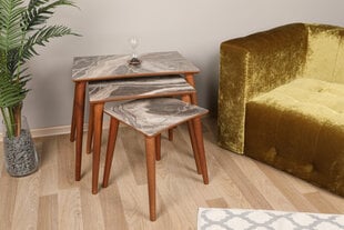 3-ju galdiņu komplekts Kalune Design Siv, brūns/pelēks cena un informācija | Žurnālgaldiņi | 220.lv