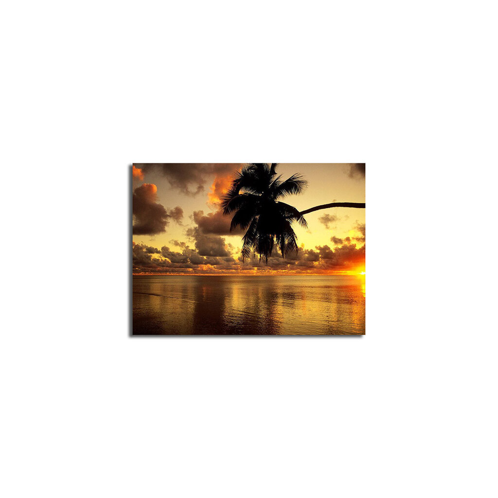 Reprodukcija Palma, jūra, saulriets cena un informācija | Gleznas | 220.lv