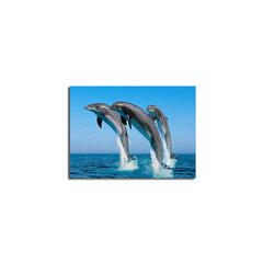 Репродукция Дельфины цена и информация | Картины | 220.lv
