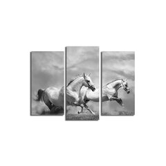 Trīs daļu reprodukcija Baltie zirgi cena un informācija | Gleznas | 220.lv