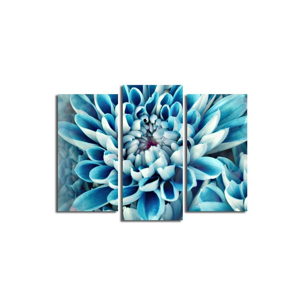 Triju daļu reprodukcija Zilais zieds цена и информация | Gleznas | 220.lv