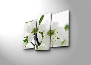 Triju daļu reprodukcija Baltie ķiršu ziedi cena un informācija | Gleznas | 220.lv