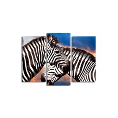 Triju daļu reprodukcija Zebras cena un informācija | Gleznas | 220.lv