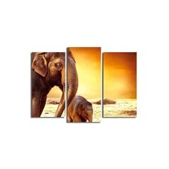 Triju daļu reprodukcija Ziloņi cena un informācija | Gleznas | 220.lv