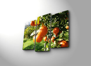 Triju daļu reprodukcija Apelsīni cena un informācija | Gleznas | 220.lv