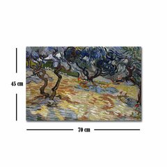 Репродукция The Olive Groves (Vincent Van Gogh) цена и информация | Картины | 220.lv