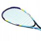 Badmintona komplekts Nils Extreme NRS005 цена и информация | Badmintons | 220.lv