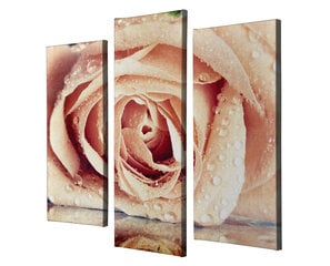 Репродукция из пяти частей Роза цена и информация | Картины | 220.lv
