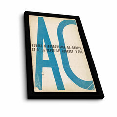 Репродукция AC цена и информация | Картины | 220.lv