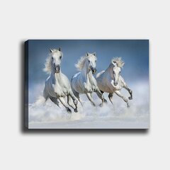 Reprodukcija Baltie zirgi cena un informācija | Gleznas | 220.lv