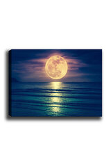 Reprodukcija Mēness virs jūras цена и информация | Картины | 220.lv