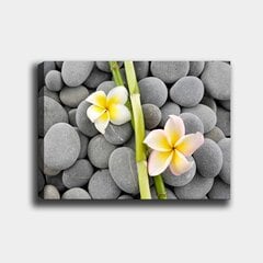 Репродукция Желтые цветы на камнях цена и информация | Картины | 220.lv