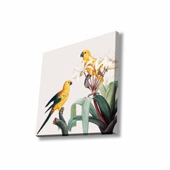 Reprodukcija Divi papagaiļi cena un informācija | Gleznas | 220.lv