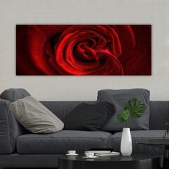 Репродукция Цветок розы цена и информация | Картины | 220.lv
