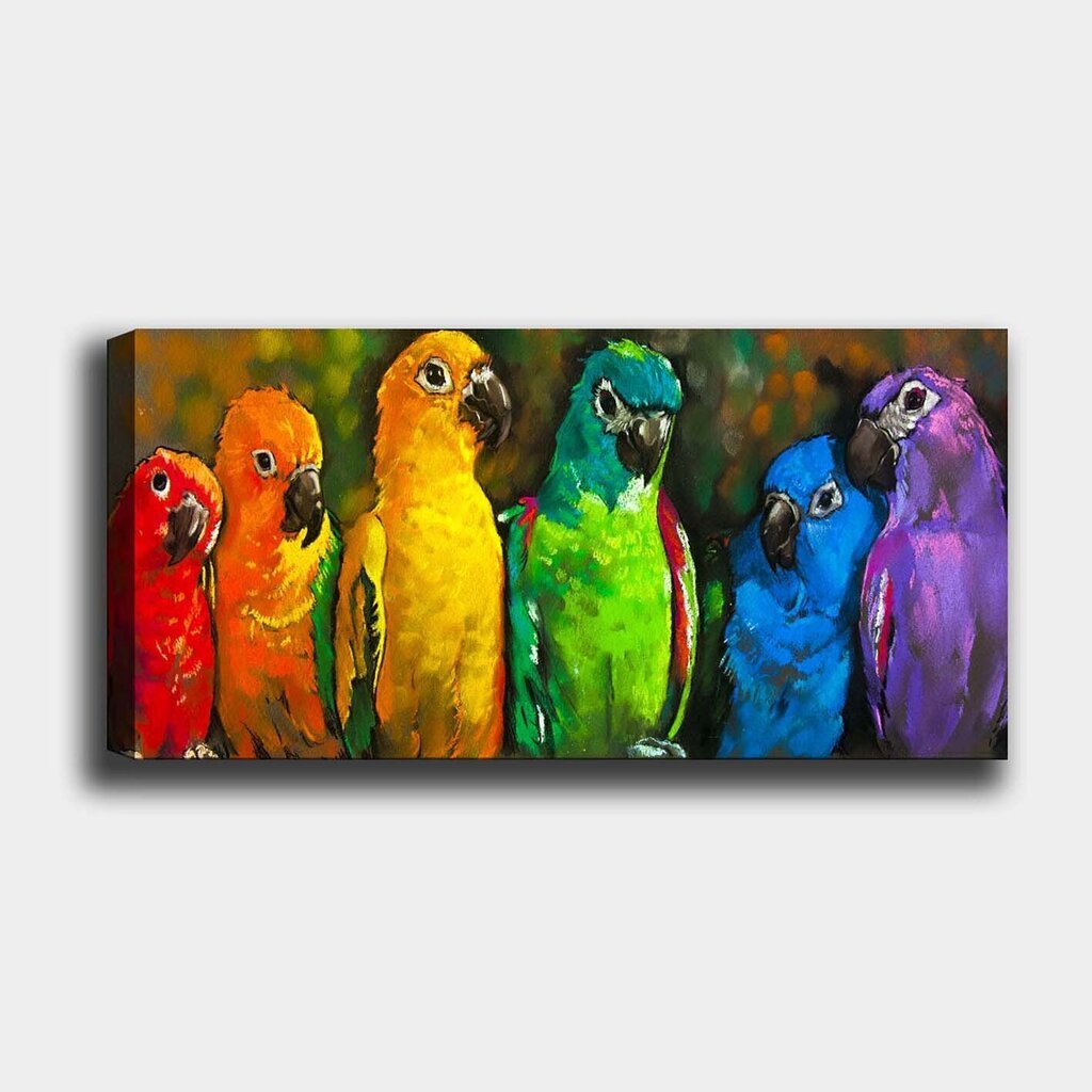Reprodukcija Krāsainie papagaiļi cena un informācija | Gleznas | 220.lv