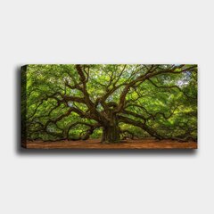 Репродукция Величие дерева цена и информация | Картины | 220.lv