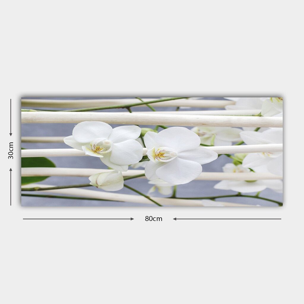Reprodukcija Baltas orhidejas cena un informācija | Gleznas | 220.lv