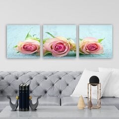 Репродукция из трех частей Розы цена и информация | Картины | 220.lv