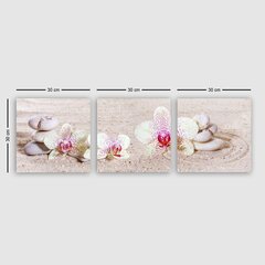 Triju daļu reprodukcija Orhidejas uz smiltīm cena un informācija | Gleznas | 220.lv